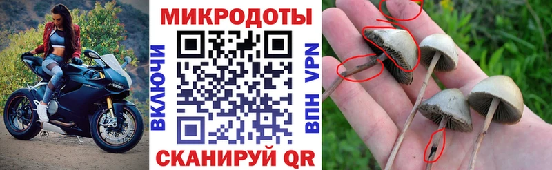 это какой сайт  Новотроицк  Псилоцибиновые грибы прущие грибы  omg ONION 