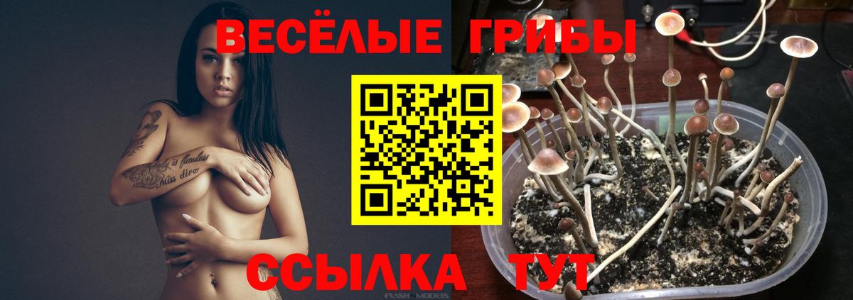 Мяу-Мяу  Новотроицк  Марихуана  Вход с VPN  Цена  КОКАИН  Гарик  Мяу-Мяу  MDMA  Кислота 
