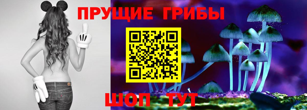 Галлюциногенные грибы Magic Shrooms Новотроицк
